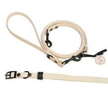 Load image into Gallery viewer, Classic Collection | SET of Collar + Leash | THIN BLACK
