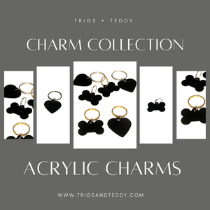 Charm Collection | Acrylic Bone or Heart Charm