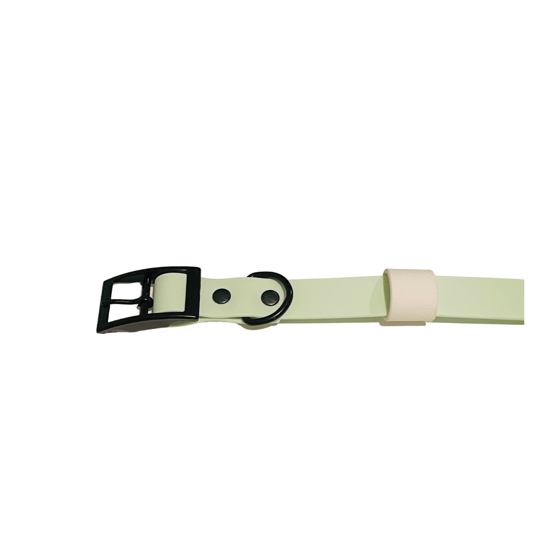 Pastel Collection | Pastel GREEN Waterproof 5ft Leash