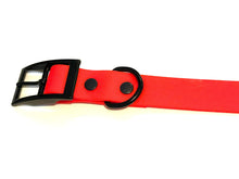Load image into Gallery viewer, Sunshine Collection | Set of Collar + Leash | RED
