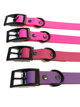 Load image into Gallery viewer, Berry Collection | Buckle Waterproof Collar | Purple, Wine, Berry, Hot Pink,
