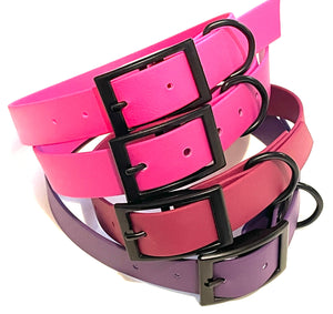 Berry Collection | Buckle Waterproof Collar | Purple, Wine, Berry, Hot Pink,