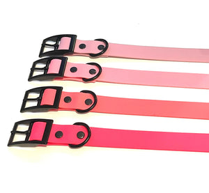 Candy Collection | Buckle Waterproof Collar | Neon Pink, Coral, Cotton Candy, Lavender