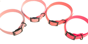 Candy Collection | Buckle Waterproof Collar | Neon Pink, Coral, Cotton Candy, Lavender