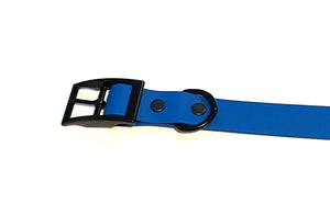 Ocean Collection | Buckle Waterproof Collar | Sky Blue, Teal, Royal Blue, Navy