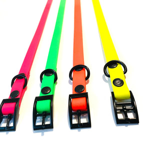 Neon Collection | Buckle Waterproof Collar | THIN Neon Yellow, Neon Orange, Neon Green, Neon Yellow