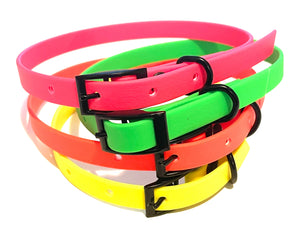 Neon Collection | Buckle Waterproof Collar | THIN Neon Yellow, Neon Orange, Neon Green, Neon Yellow