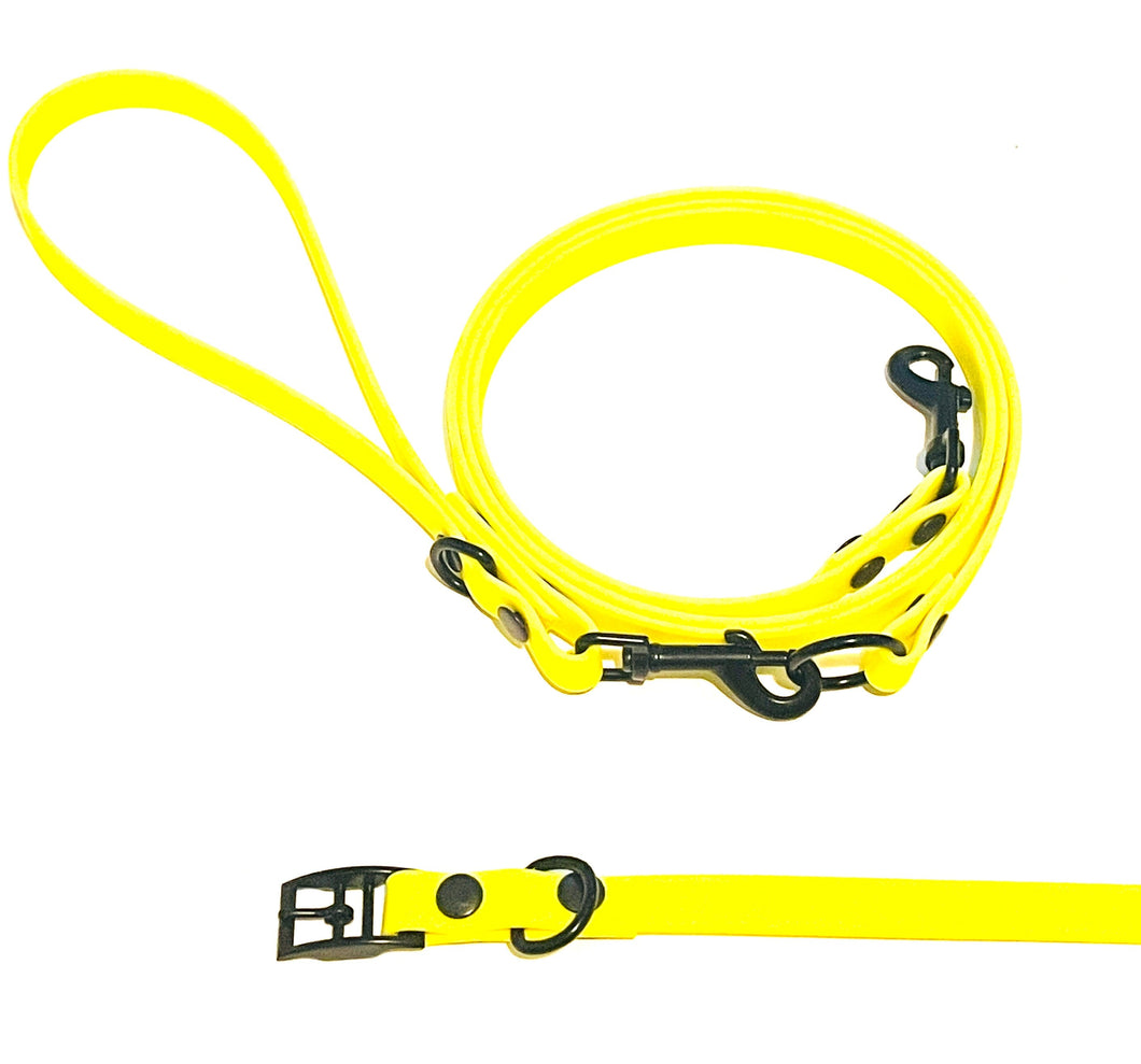 Neon Collection | Set of Collar + Leash | THIN Neon Yellow