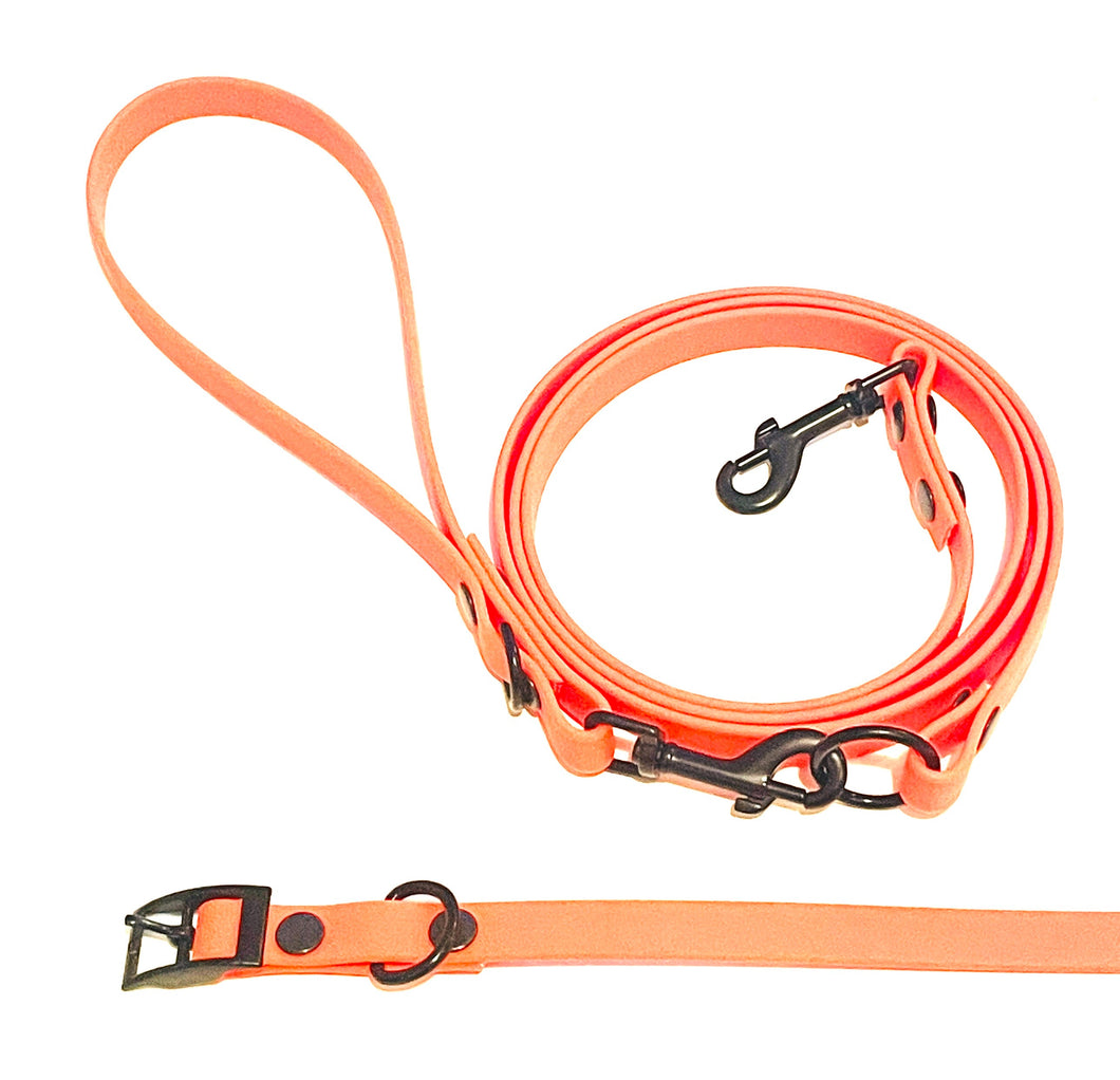Neon Collection | Set of Collar + Leash | Thin Neon Orange