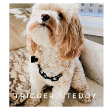 Load image into Gallery viewer, Statement Collar | Pearl&#39;s Collar
