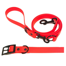 Load image into Gallery viewer, Sunshine Collection | Set of Collar + Leash | ORANGE
