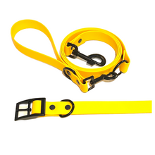 Load image into Gallery viewer, Sunshine Collection | Set of Collar + Leash | YELLOW
