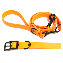 Load image into Gallery viewer, Sunshine Collection | Set of Collar + Leash | ORANGE
