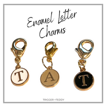 Load image into Gallery viewer, Charms | Assorted Intial Letter Charms
